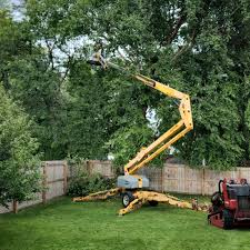Best Stump Grinding and Removal  in Rochester, IL